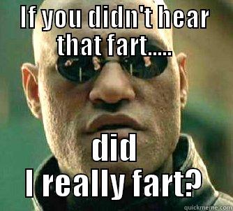 farting meme - IF YOU DIDN'T HEAR THAT FART..... DID I REALLY FART? Matrix Morpheus