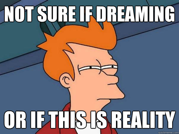 Not sure if dreaming Or if this is reality   Futurama Fry
