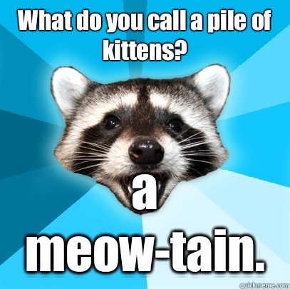 What do you call a pile of kittens?  a meow-tain.  Lame Pun Coon
