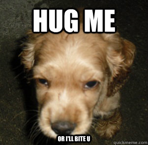 hug me   OR i'll bite u  - hug me   OR i'll bite u   choco-meme