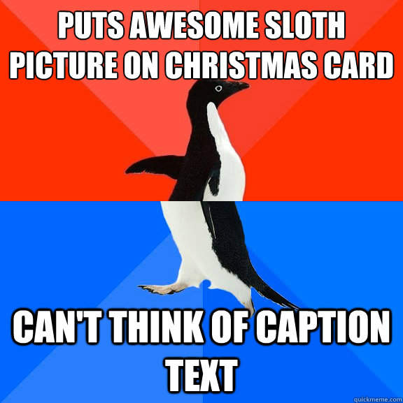 puts awesome sloth picture on christmas card can't think of caption text  Socially Awesome Awkward Penguin
