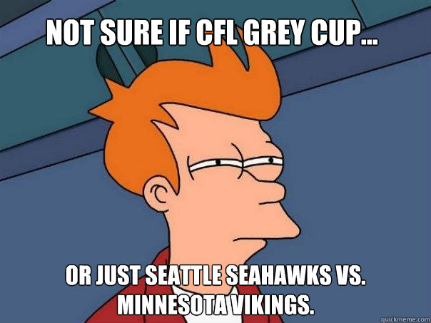 Not sure if CFL Grey Cup... Or just Seattle Seahawks vs. Minnesota Vikings.   Futurama Fry