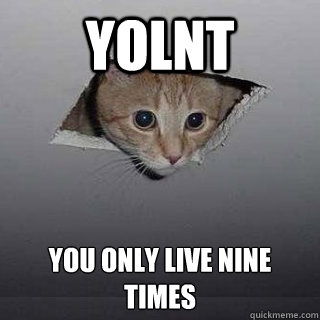 YOLNT You Only Live Nine Times  