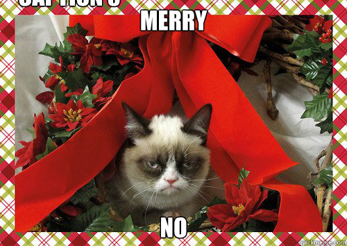 Merry no Caption 3 goes here  A Grumpy Cat Christmas