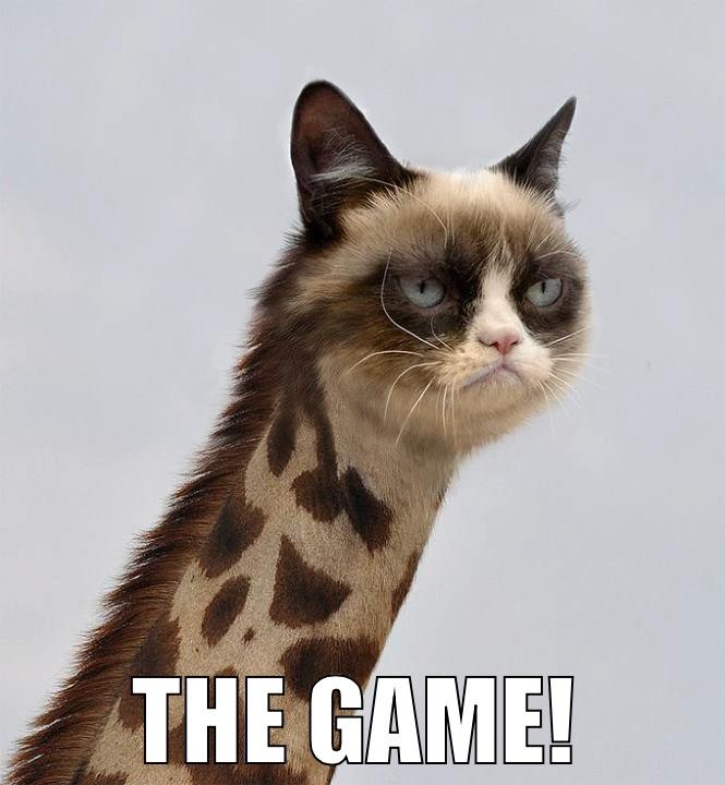  THE GAME! Misc