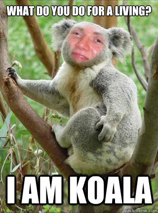 what do you do for a living? I am koala  