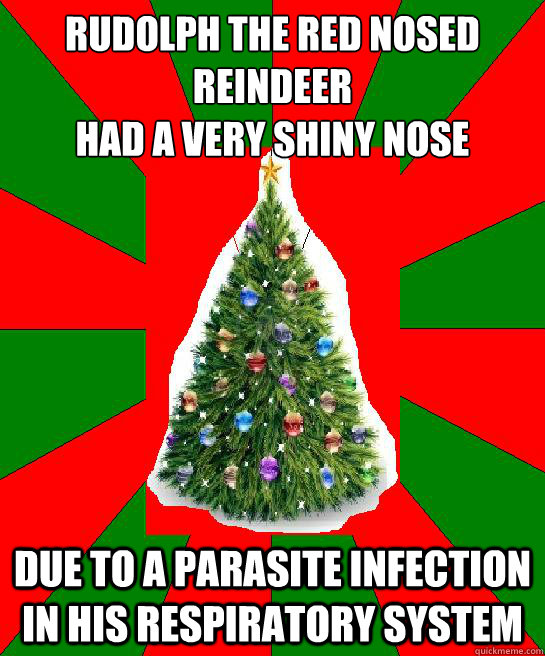 Rudolph the Red Nosed Reindeer 
had a very shiny nose Due to a parasite infection in his respiratory system  Rudolph the Red Nosed Reindeer