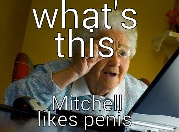 WHAT'S THIS MITCHELL LIKES PENIS  Grandma finds the Internet