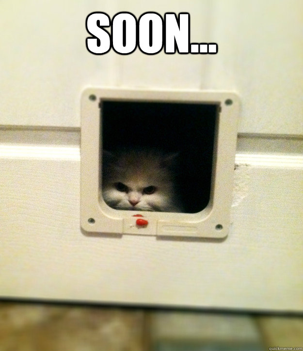 soon...  - soon...   Misc