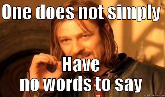 ONE DOES NOT SIMPLY  HAVE NO WORDS TO SAY Boromir