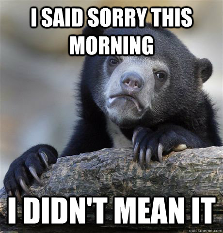I said sorry this morning I didn't mean it  Confession Bear