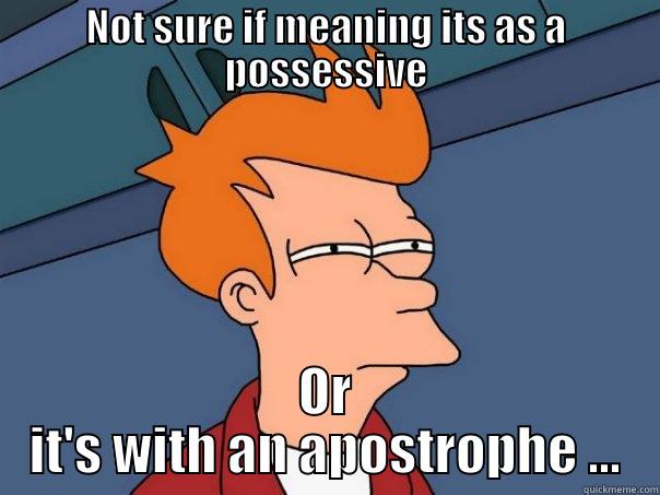 NOT SURE IF MEANING ITS AS A POSSESSIVE OR IT'S WITH AN APOSTROPHE ... Futurama Fry