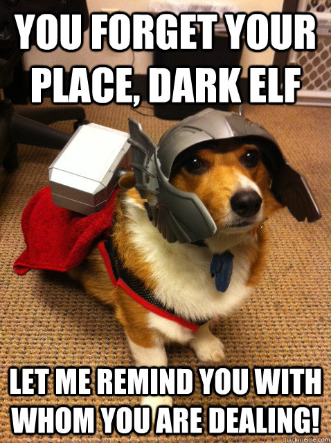 You forget your place, dark elf let me remind you with whom you are dealing!  Thorgi Dog of Thunder