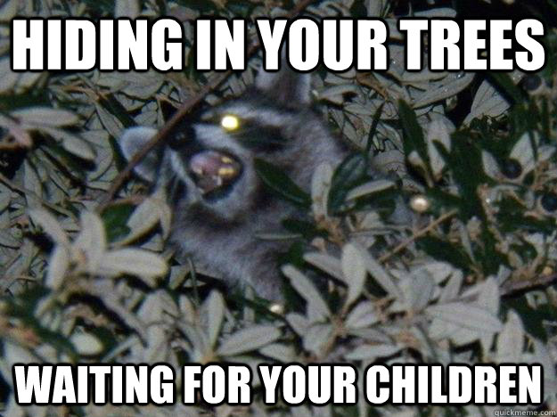 Hiding in your trees Waiting for your children  Crazy Coon