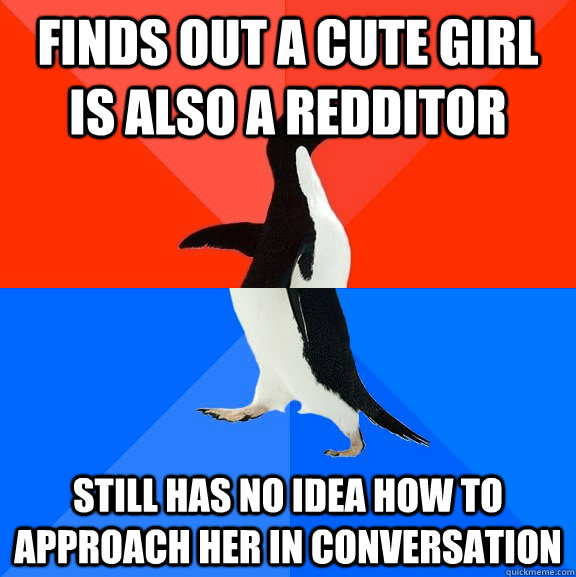 Finds out a cute girl is also a redditor still has no idea how to approach her in conversation  Socially Awesome Awkward Penguin