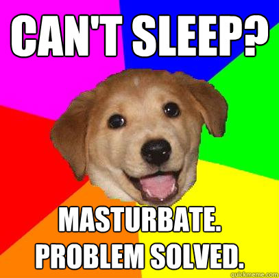 Can't sleep? masturbate. problem solved.  Advice Dog
