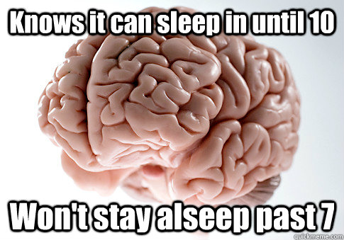 Knows it can sleep in until 10 Won't stay alseep past 7   Scumbag Brain