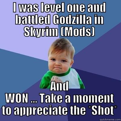 I WAS LEVEL ONE AND BATTLED GODZILLA IN SKYRIM (MODS) AND WON … TAKE A MOMENT TO APPRECIATE THE *SHOT* Success Kid