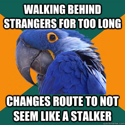 Walking behind strangers for too long changes route to not seem like a stalker  Paranoid Parrot