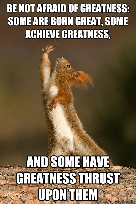 Be not afraid of greatness: some are born great, some achieve greatness, and some have greatness thrust upon them  - Be not afraid of greatness: some are born great, some achieve greatness, and some have greatness thrust upon them   Shakespeare Squirrel
