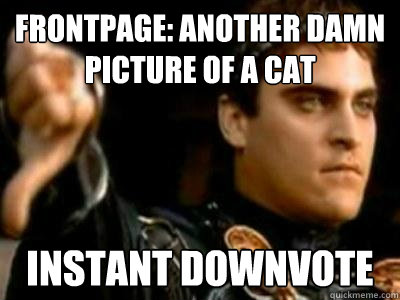 Frontpage: another damn picture of a cat Instant downvote  Downvoting Roman