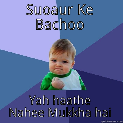 SUOAUR KE BACHOO YAH HAATHE NAHEE MUKKHA HAI Success Kid