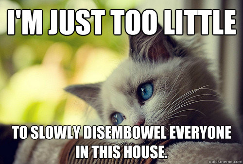I'm just too little
 to slowly disembowel everyone in this house.  First World Problems Cat