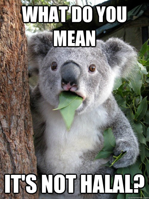 What do you mean It's not halal?  Surprised Koala