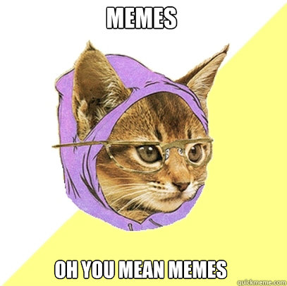 Memes oh you mean memes  Hipster Kitty