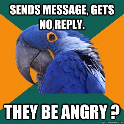 Sends message, gets no reply. They be angry ?  Paranoid Parrot