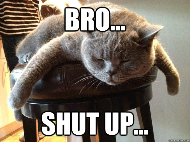 BRO... Shut up... - BRO... Shut up...  Bro Kitty