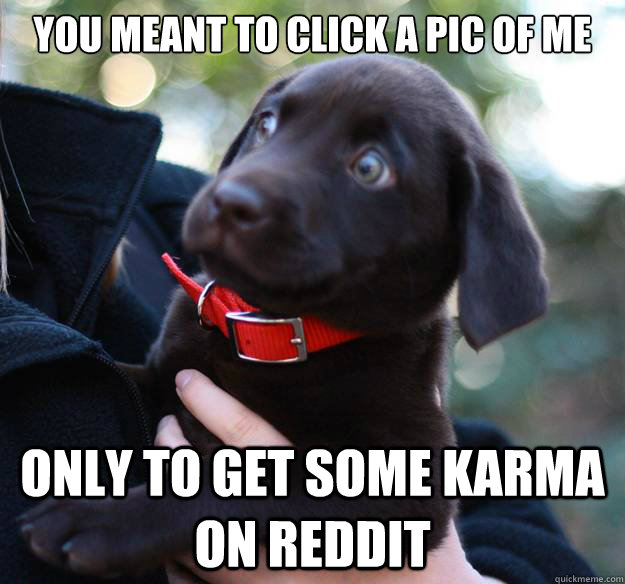 You meant to click a pic of me only to get some karma on reddit - You meant to click a pic of me only to get some karma on reddit  Misc