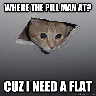 where the pill man at?  cuz i need a flat   Ceiling Cat