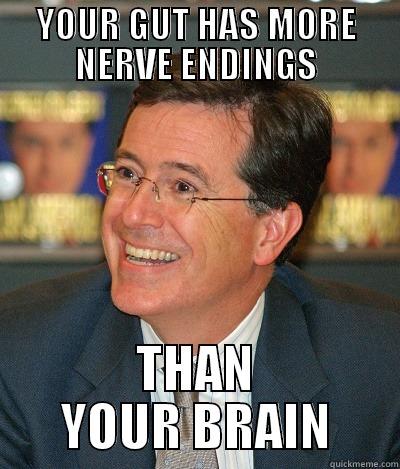 YOUR GUT HAS MORE NERVE ENDINGS THAN YOUR BRAIN Misc