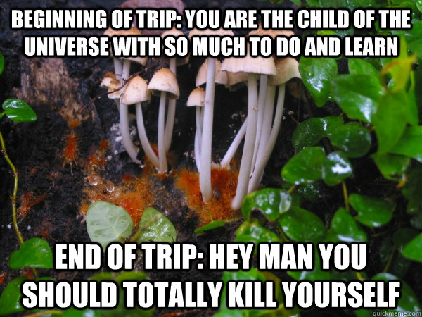 Beginning of trip: You are the child of the universe with so much to do and learn End of trip: Hey man you should totally kill yourself - Beginning of trip: You are the child of the universe with so much to do and learn End of trip: Hey man you should totally kill yourself  Scumbag Mushrooms