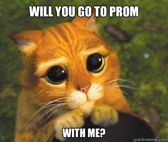Will you go to prom with me?  