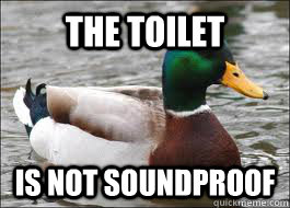 The toilet is not soundproof  Good Advice Duck