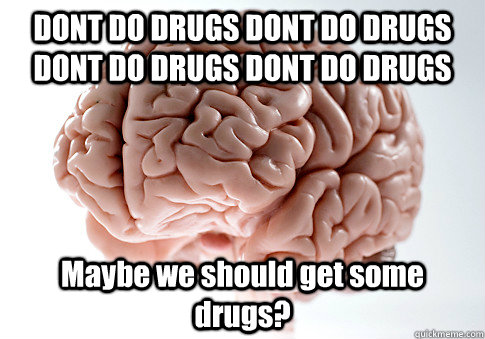 DONT DO DRUGS DONT DO DRUGS DONT DO DRUGS DONT DO DRUGS Maybe we should get some drugs?   Scumbag Brain