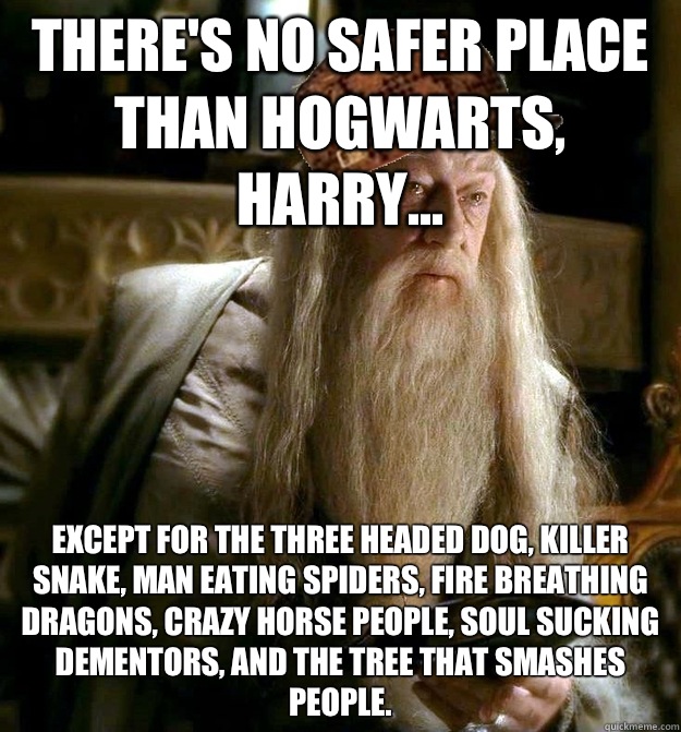 There's no safer place than Hogwarts, Harry... Except for the three headed dog, killer snake, man eating spiders, fire breathing dragons, crazy horse people, soul sucking dementors, and the tree that smashes people.  Scumbag Dumbledore