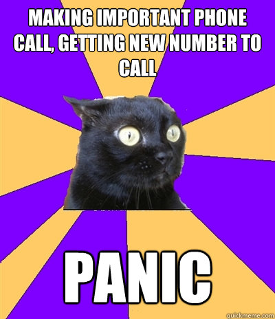 Making important phone call, getting new number to call Panic  Anxiety Cat