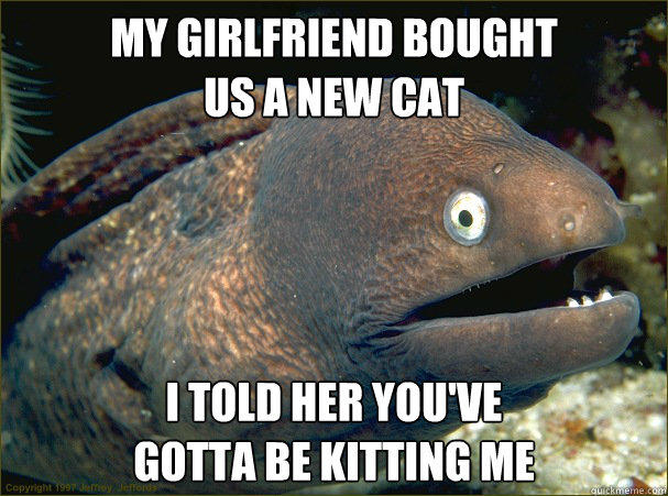 My girlfriend bought
us a new cat I told her you've
gotta be kitting me  Bad Joke Eel