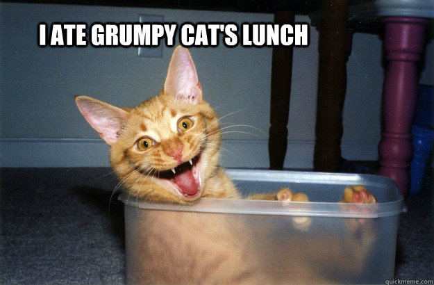 i ate grumpy cat's lunch - i ate grumpy cat's lunch  Sunny Cat
