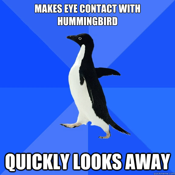 Makes eye contact with hummingbird Quickly looks away  Socially Awkward Penguin