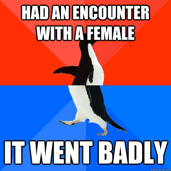 had an encounter with a female it went badly  Socially Awesome Awkward Penguin