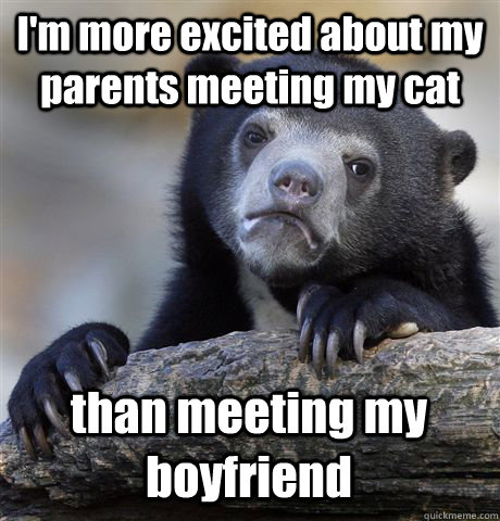 I'm more excited about my parents meeting my cat than meeting my boyfriend  Confession Bear