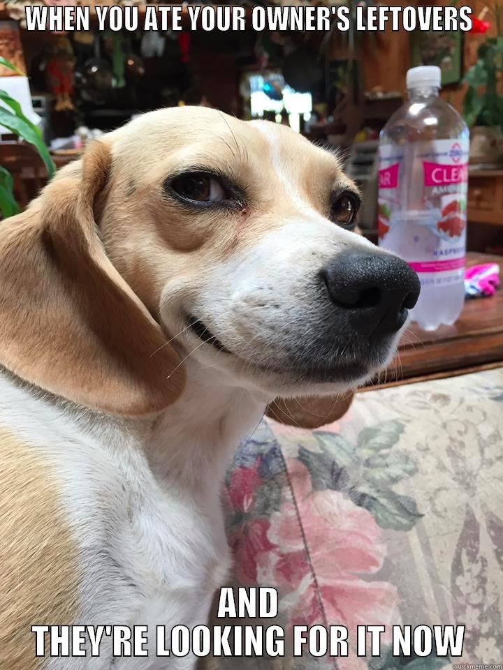 WHEN YOU ATE YOUR OWNER'S LEFTOVERS AND THEY'RE LOOKING FOR IT NOW Misc