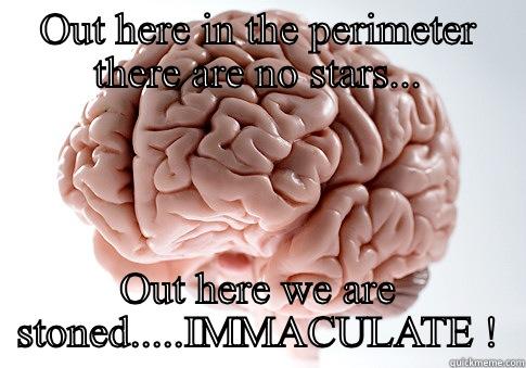 OUT HERE IN THE PERIMETER THERE ARE NO STARS... OUT HERE WE ARE STONED.....IMMACULATE ! Scumbag Brain