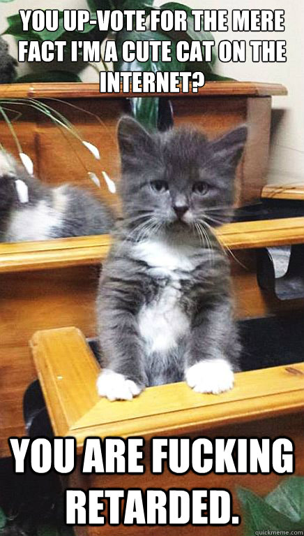 You up-vote for the mere fact I'm a cute cat on the internet?  You are fucking retarded. - You up-vote for the mere fact I'm a cute cat on the internet?  You are fucking retarded.  Judgmental Kitten