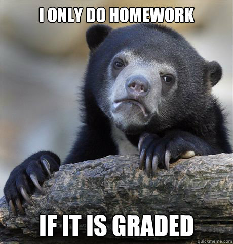 I only do homework If it is graded  Confession Bear