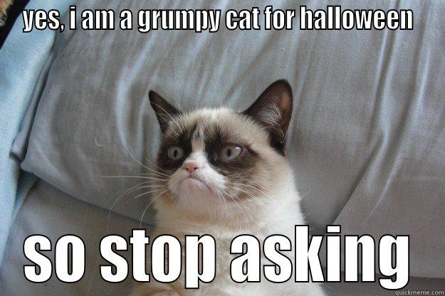 YES, I AM A GRUMPY CAT FOR HALLOWEEN  SO STOP ASKING Grumpy Cat